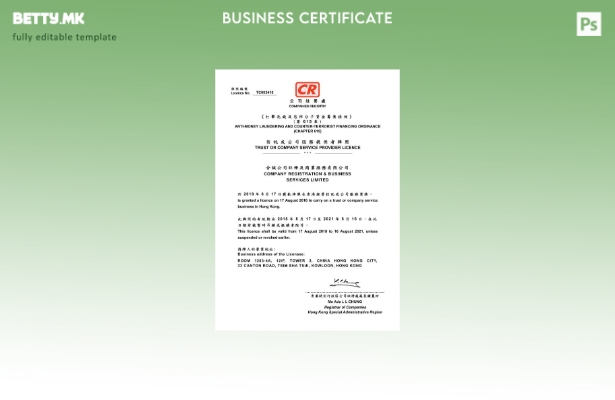 Модерен стил, Шаблон за лиценца за доверител на услуги на Кина или компанија